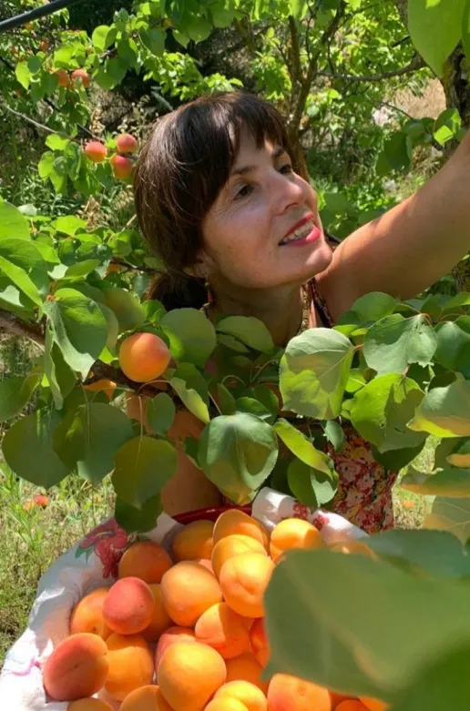 Luisa che raccoglie le albicocche