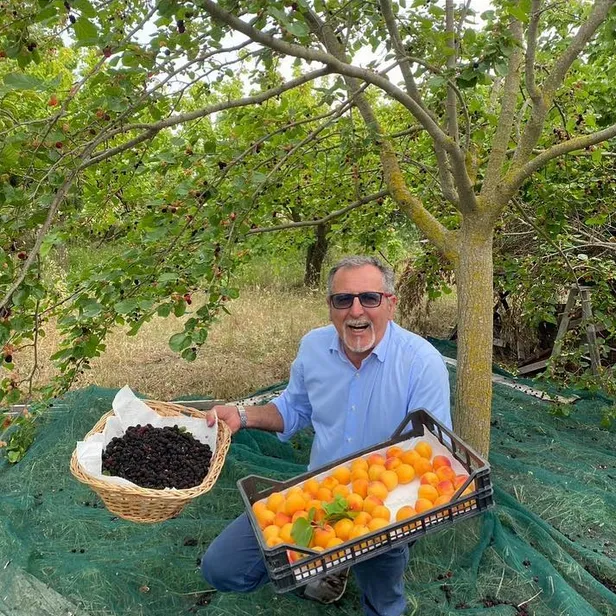 Luca che raccoglie le more