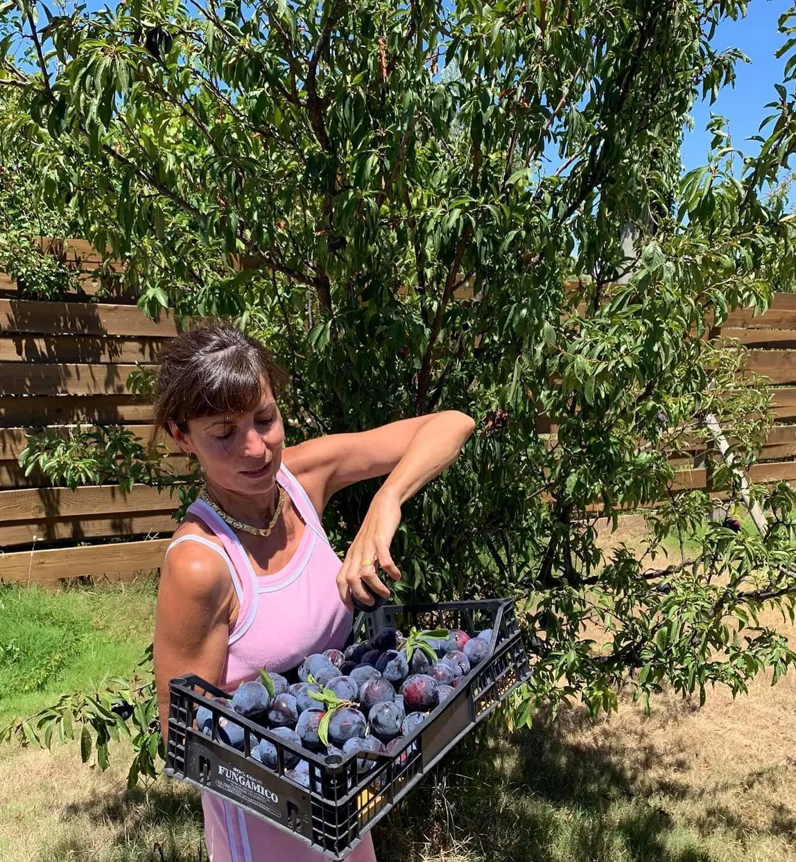 Luisa che raccoglie le susine